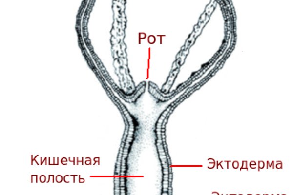 Kraken ссылка kraken link24 info