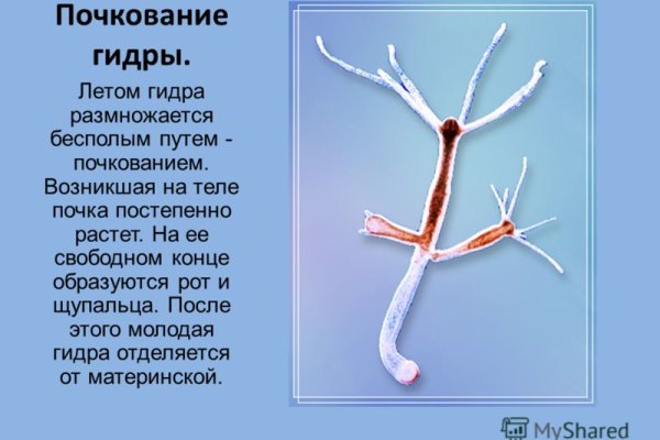 Покупки на кракене даркнет