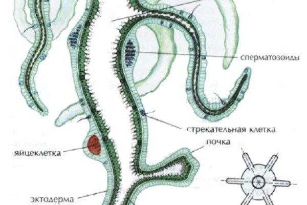 Кракен маркет что