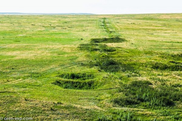 Кракен что это за маркетплейс