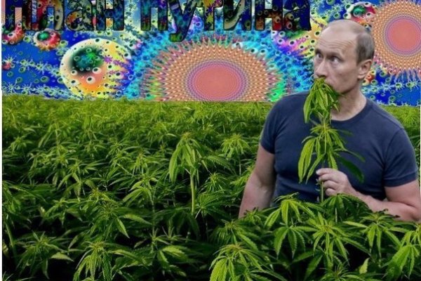 Кракен зеркало
