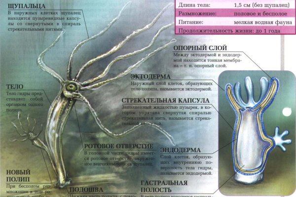 Kraken даркнет рынок