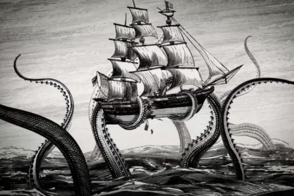Kraken 17 at net