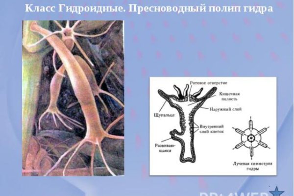 Кракен наркокортель