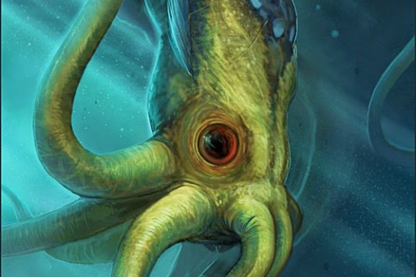 Kraken url