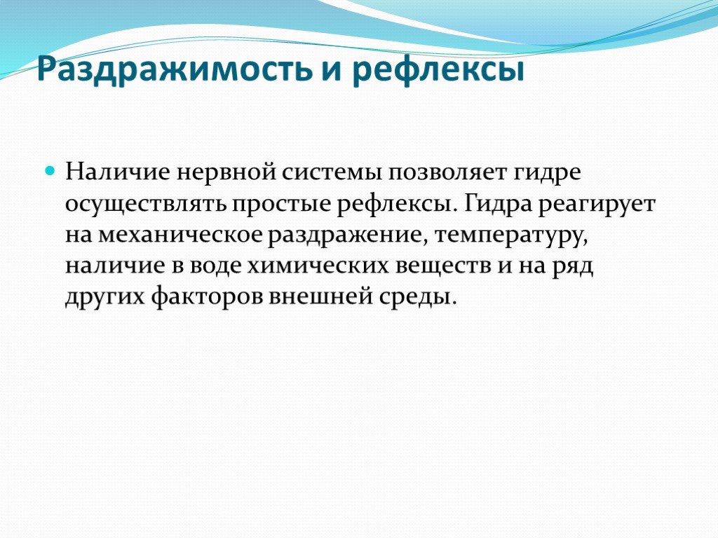 Кракен клирнет ссылка