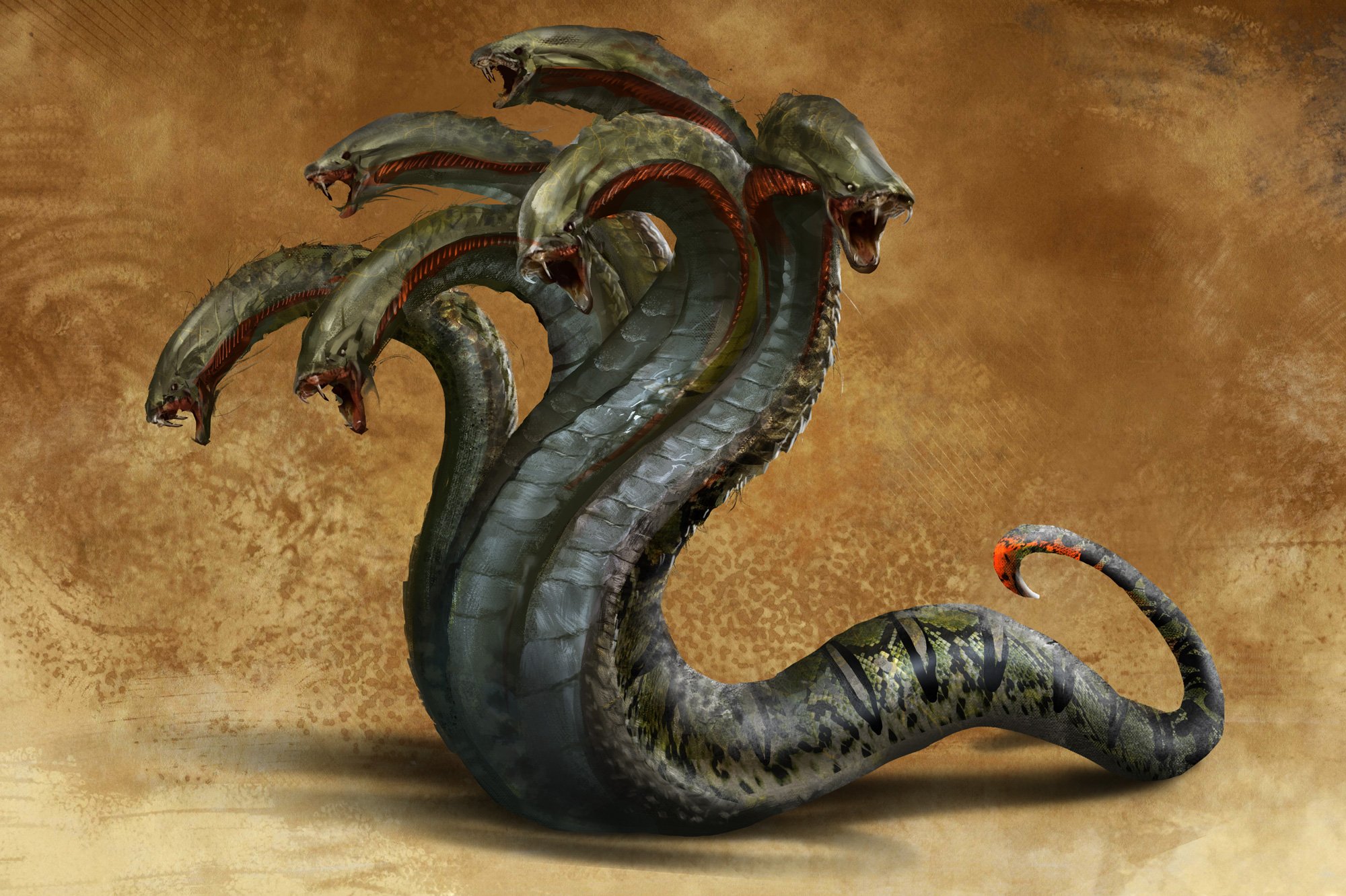Kraken 13at