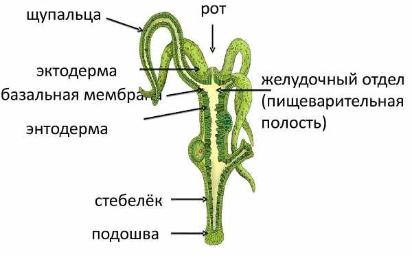 Кракен вход ссылка kraken torion net