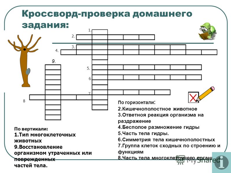 Кракен даркнет актуальная ссылка